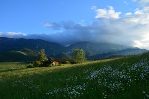 podvečerné lúky Ždiaru