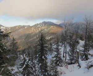 Mohošov grúň (1.136 m)
