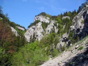 Bralá v Prosieckej doline