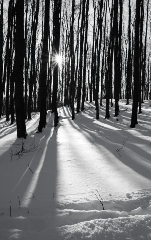 Čas dlhých tieňov