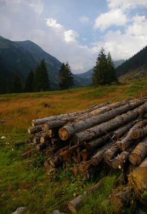 Račkova dolina