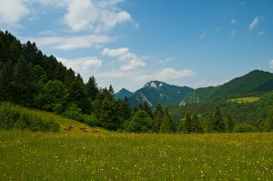 Lúky nad Lesnicou
