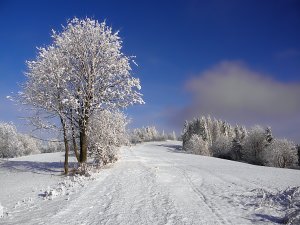 Pravá zima
