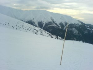 palice
