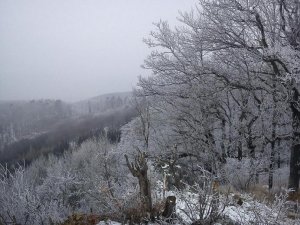 Zima na Žarnove