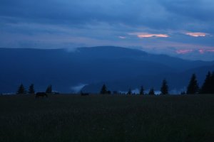Svätojánska noc
