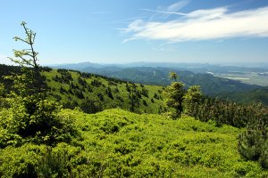 Veľká lúka 1476 m.n.m.