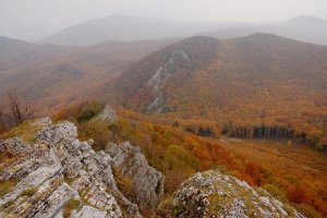 zeleno-žlto-oranžovo-hnedo-červená