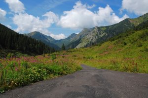 konečná