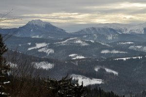Ku Veľkému Rozsutcu 