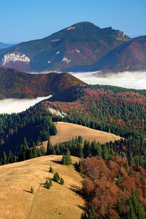 Choč