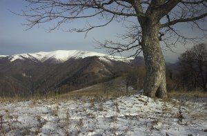 Krížna