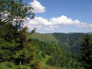 Pred Majerovou skalou