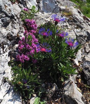 Skalka