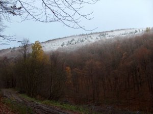 Dve ročné obdobia