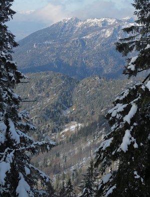 Vykrojená Ostrá