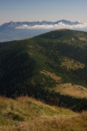 VT z hrebeňa NT