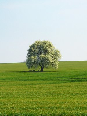 Tak sám