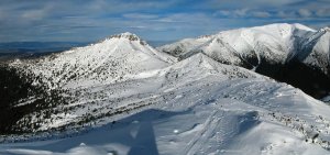Ostrý vrcholovka