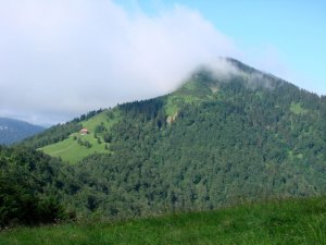 Dovidenia, Borišov