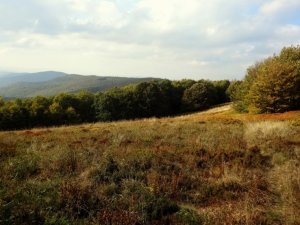 Louka pod Hyrlatou