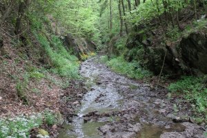 K Slavošovskému tunelu