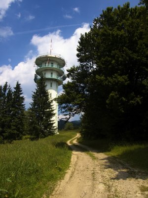 Biela veža