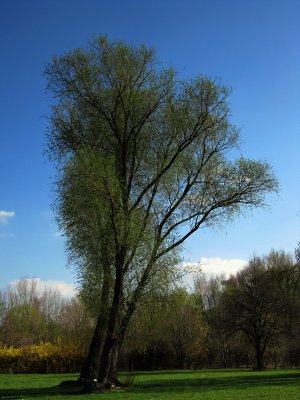 3 v jednom