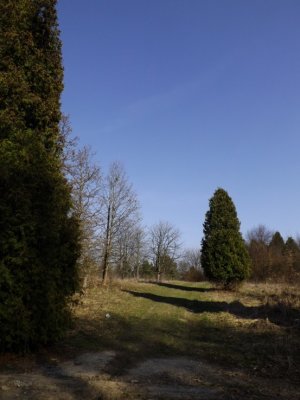 Arborétum Ortáše