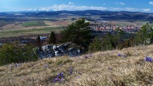 Pri poniklecoch