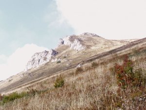Pohlad na chleb od modrej.