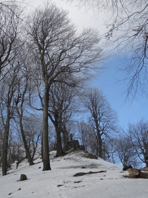 Zrkadlenie