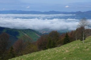 Inverzia v Turci.