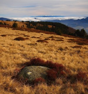 Tatry od žltej