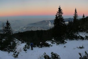 Konvenčná.