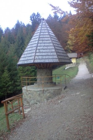 Hora Zvir - prameň