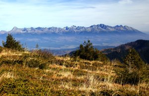 Vysoké Tatry