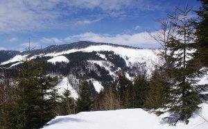 Oravcová