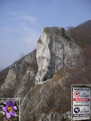 Manínska stráž