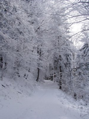 Cestou na Lysec- 3.11.2006