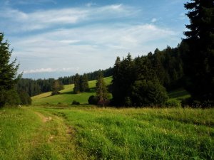 Medzijarky