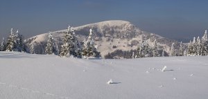 Borišovská