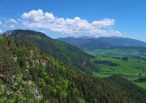 Čerenova skala - Jánošíkov stôl