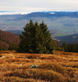 Z Humiencov