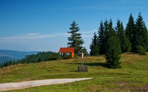 Nový prístrešok