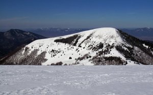 Borišov