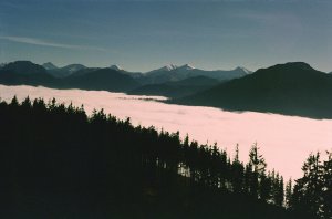 Inverzia