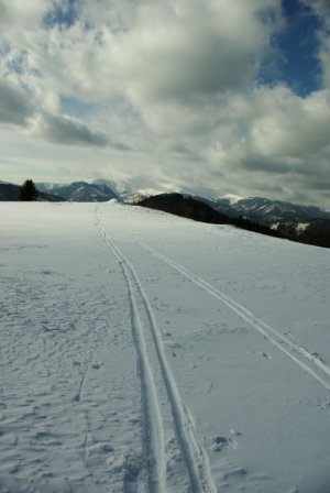 Smerom k Veľkej Fatre