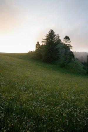 Čertova skala po bouřce