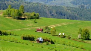 Lazy naše slovenské